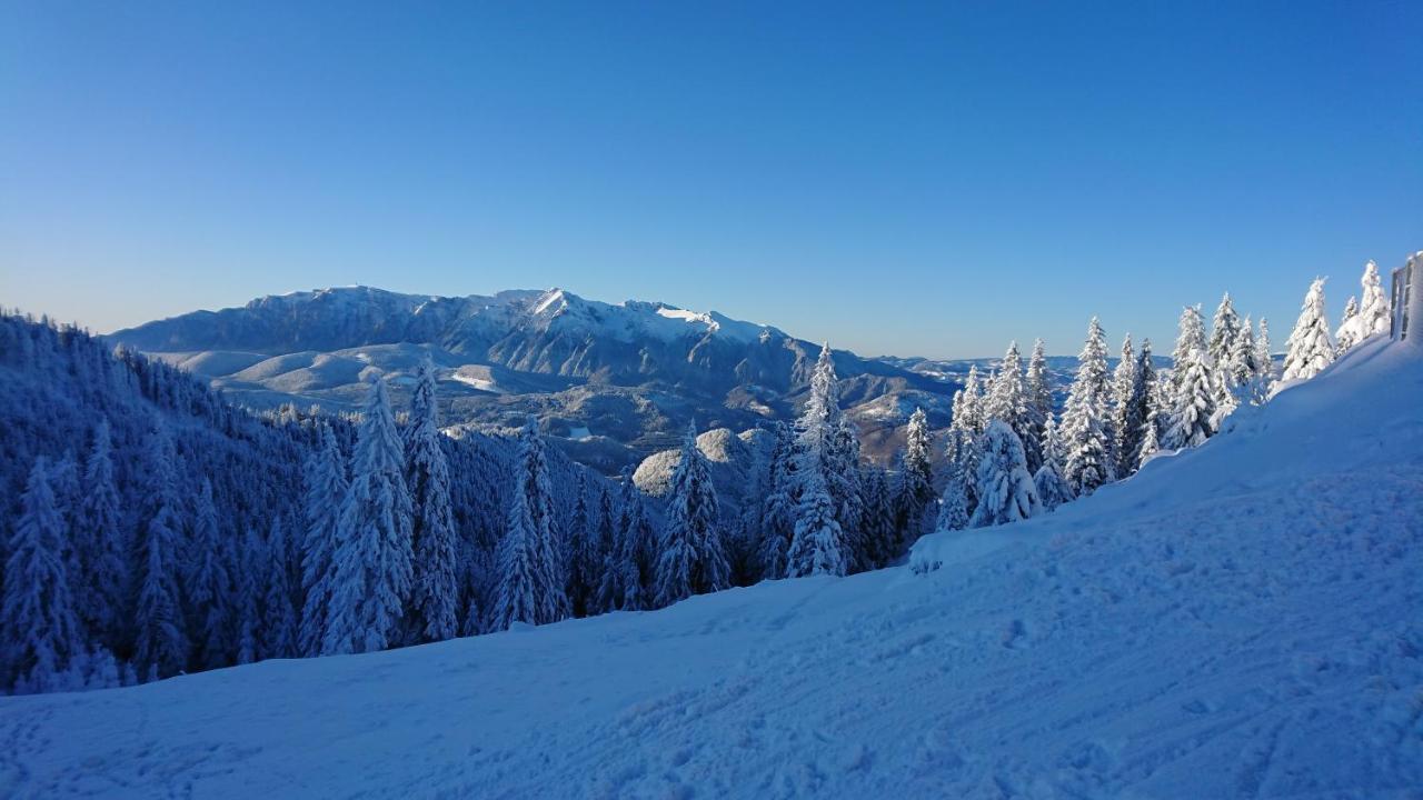 Apartament 2706 Alpin Resort, Etaj 7, Poiana Brasov Eksteriør bilde