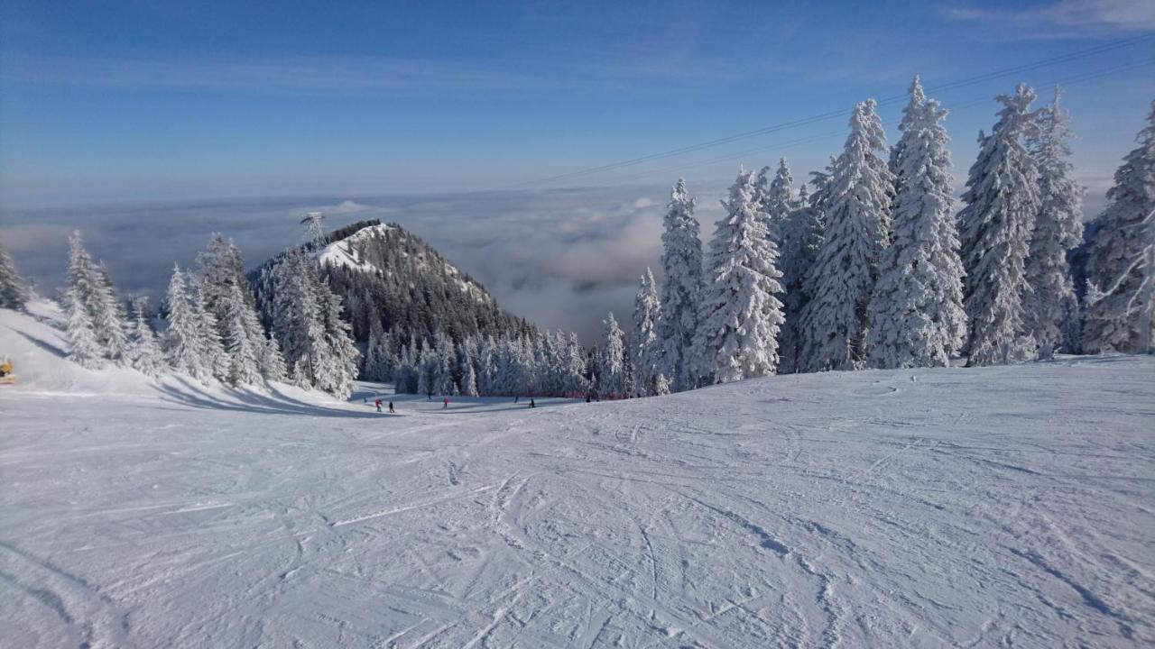 Apartament 2706 Alpin Resort, Etaj 7, Poiana Brasov Eksteriør bilde