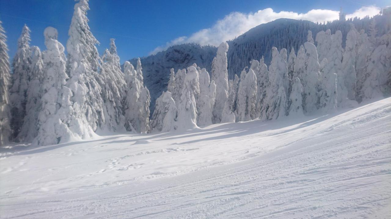 Apartament 2706 Alpin Resort, Etaj 7, Poiana Brasov Eksteriør bilde
