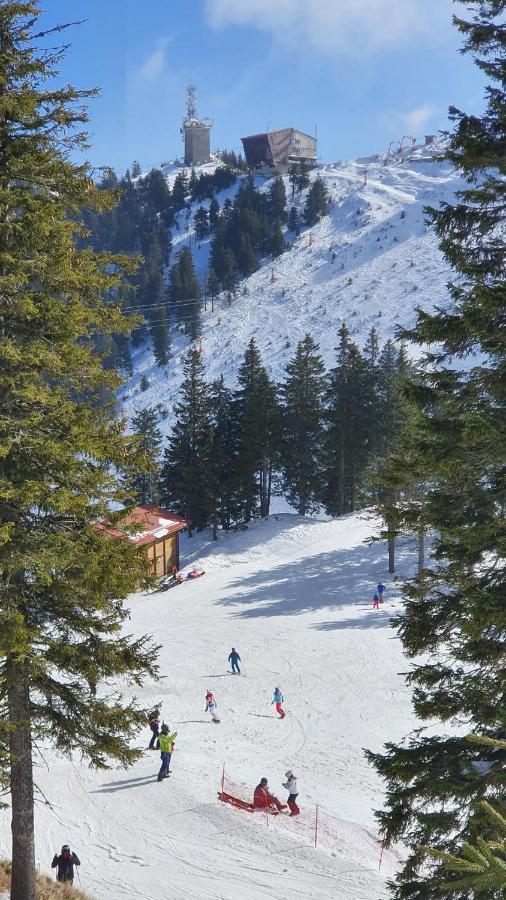 Apartament 2706 Alpin Resort, Etaj 7, Poiana Brasov Eksteriør bilde